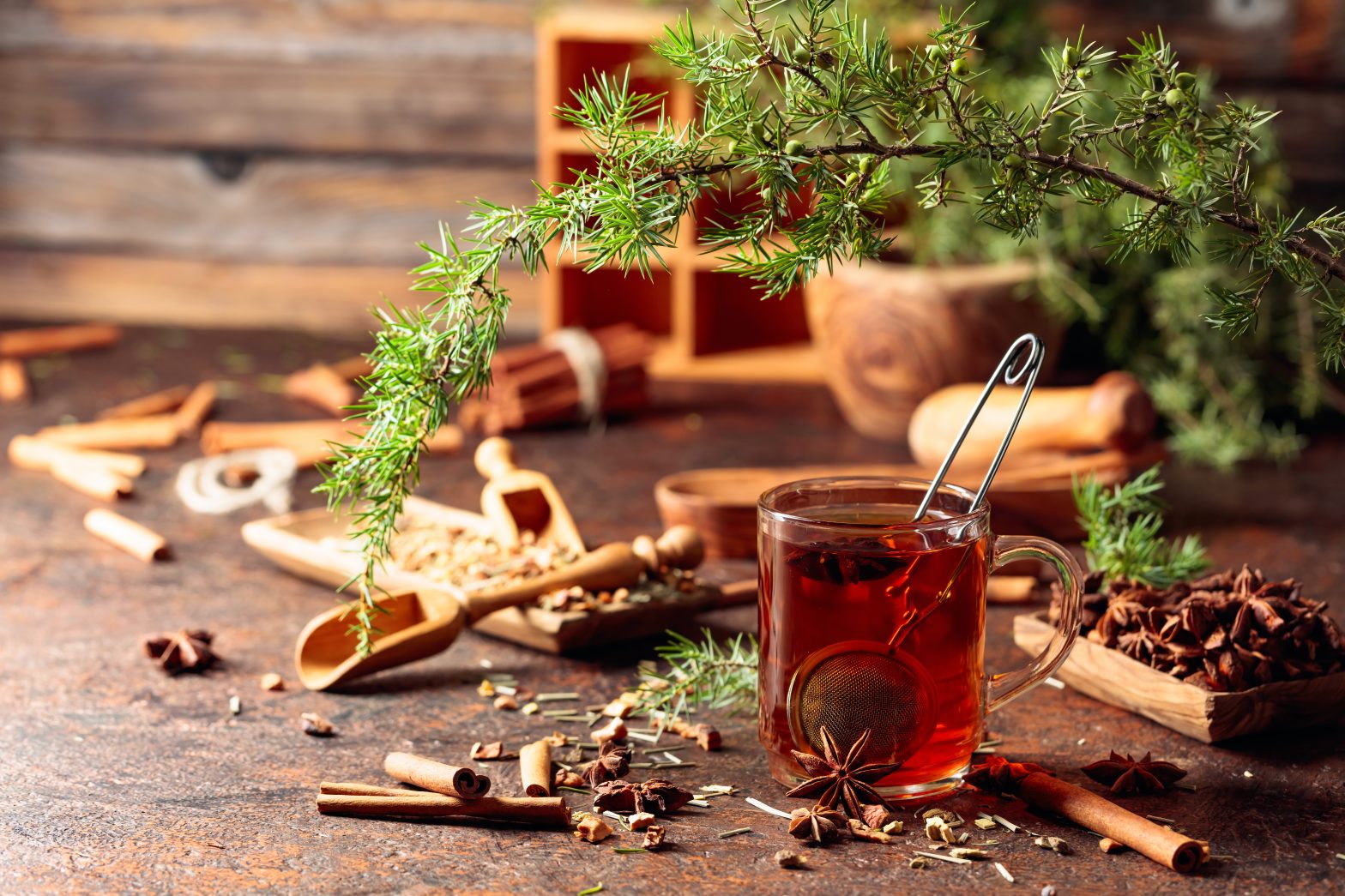 Herbal tea with cinnamon, and dried herbs on an brown table.