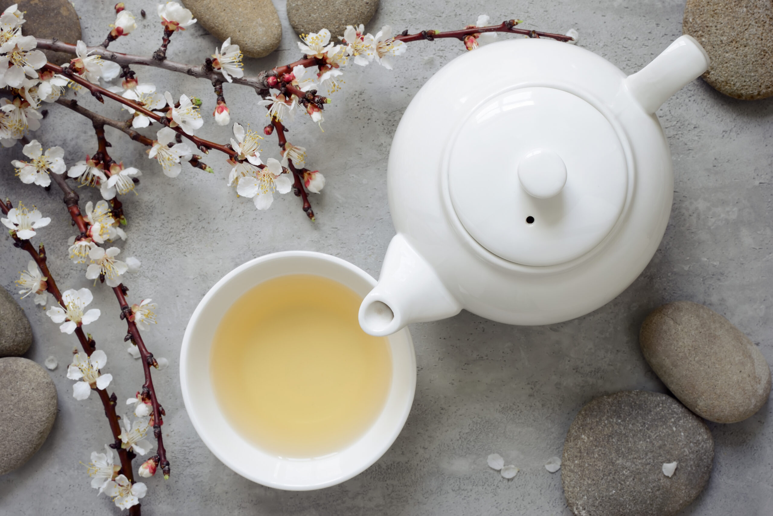 White Tea in a cup with white teapot